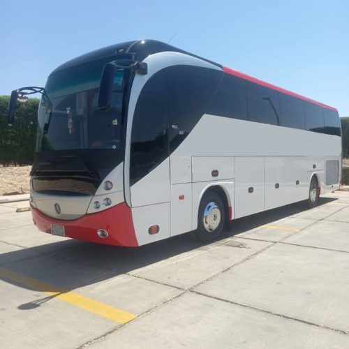 WhatsApp Image 2025-03-25 at 00.05.02_8247e5c6